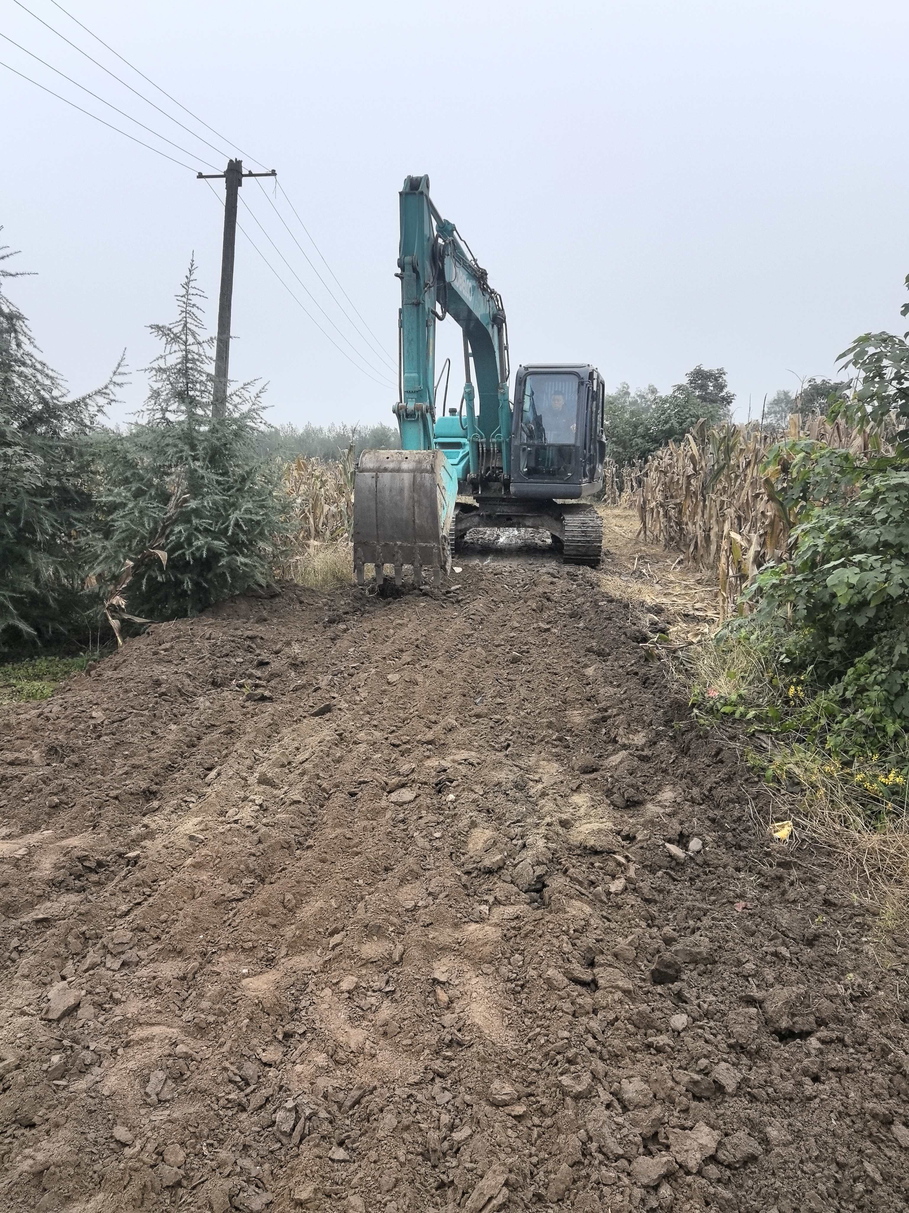 富仁镇五一村苗木、、、猕猴桃生产路硬化项